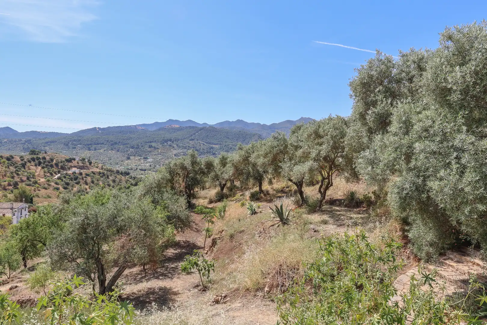 Casa o xalet en venda en Monda amb Aire condicionat, Jardí privat i Piscina