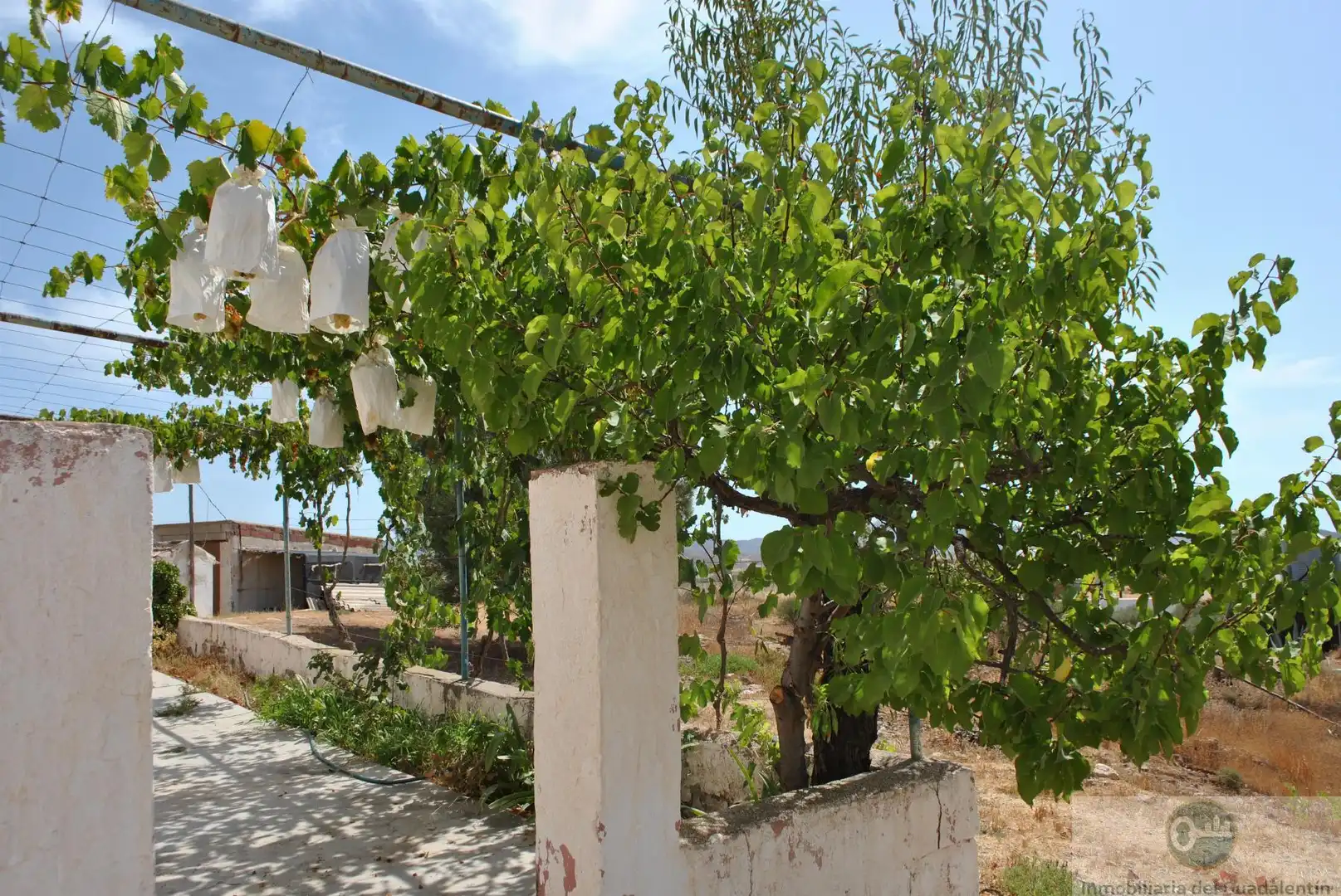 Jardí de Casa o xalet en venda en Lorca