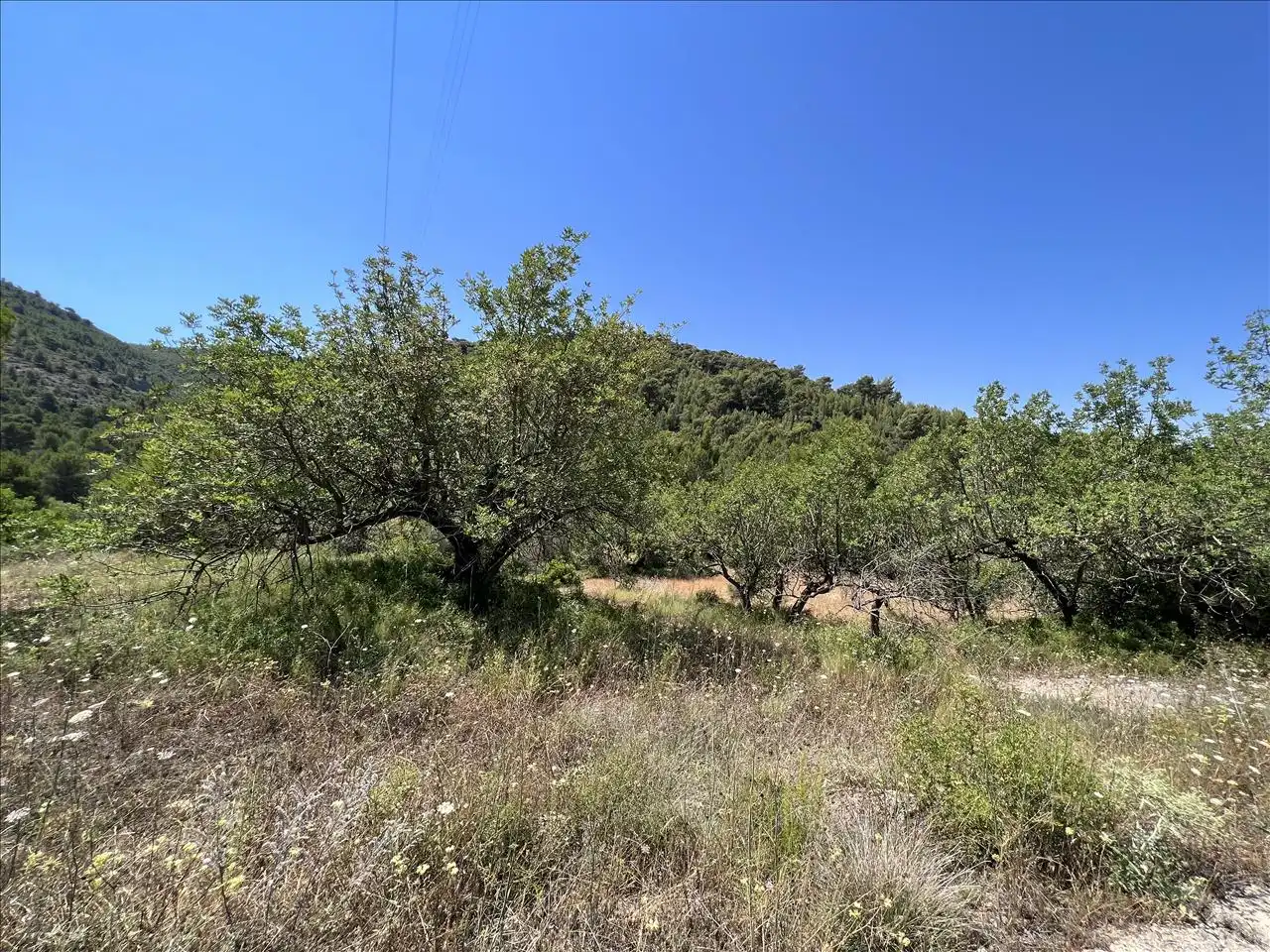 Residential land for sale in Proc. Simplificado, imagen 2