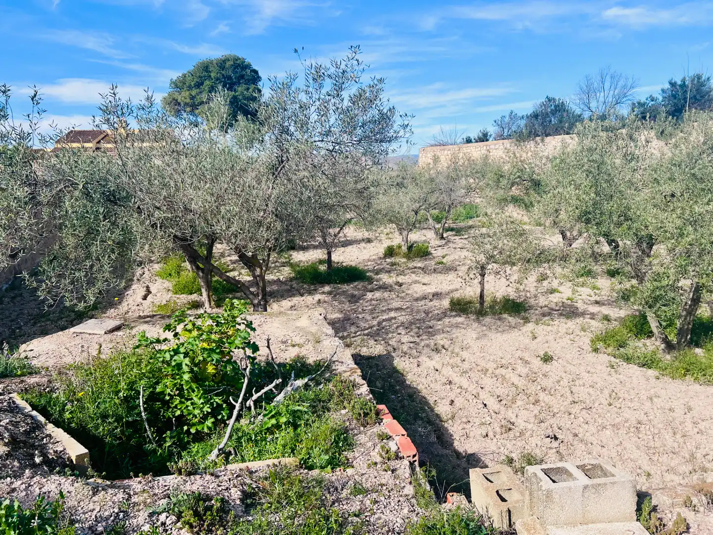 Casa o xalet en venda en Petrer amb Aire condicionat, Jardí privat i Terrassa