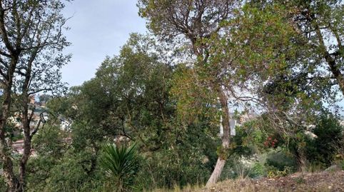 Terreno en venta en MONTBARBAT, imatge 4