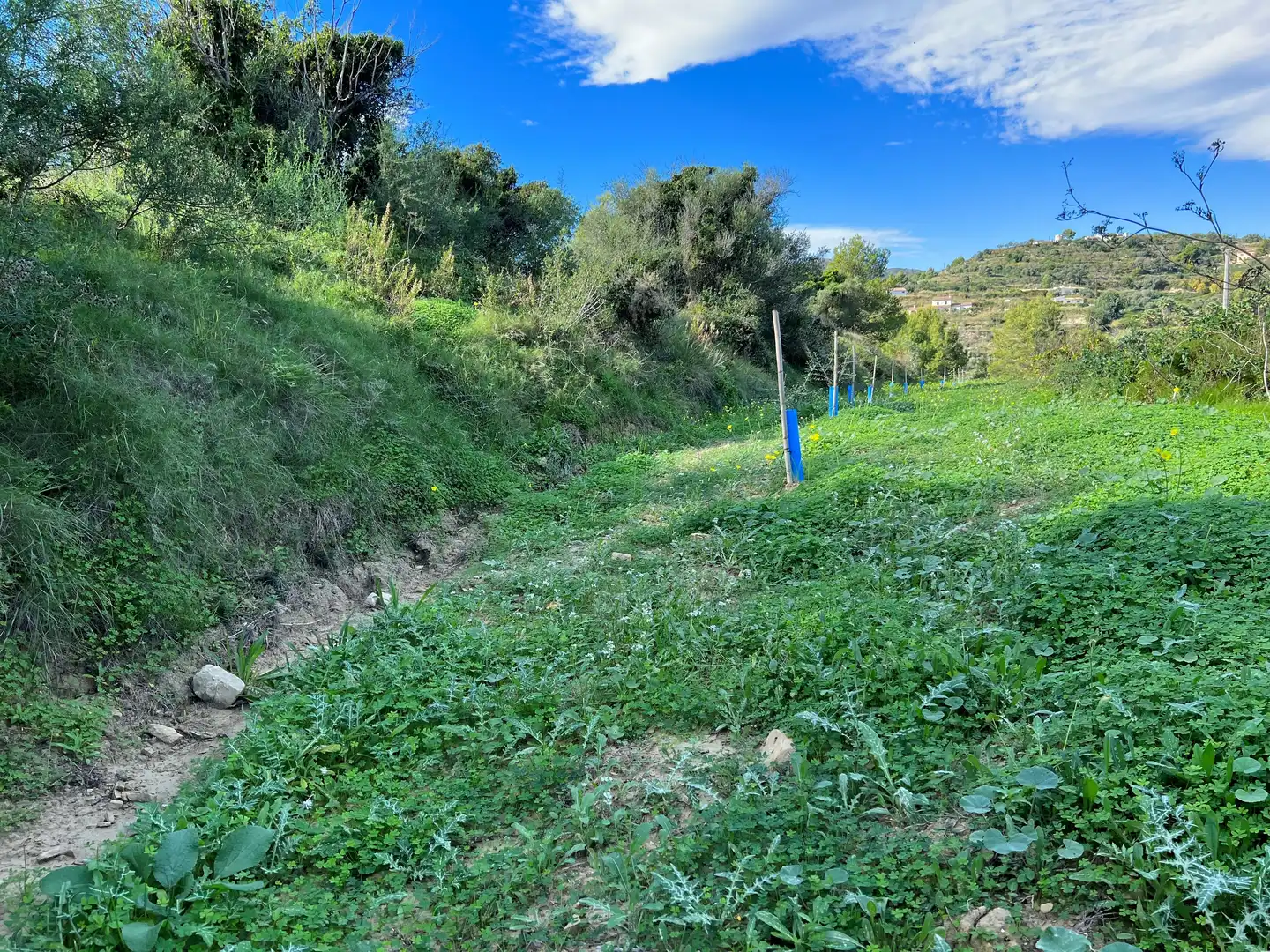 Terreno rústico en venta en Benissa pueblo, imagen 2