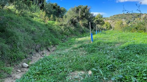 Foto 2 de Terreno en venta en Benissa pueblo, Benissa