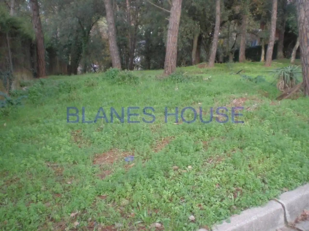 Terreno residencial en venta en Residencial Park