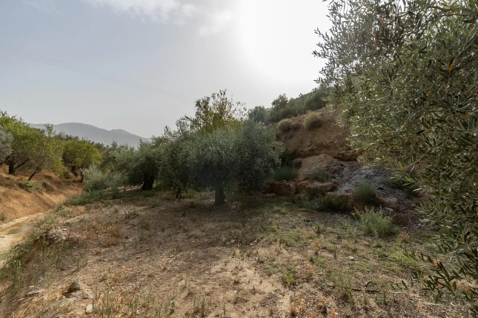 Land for sale in Lecrín