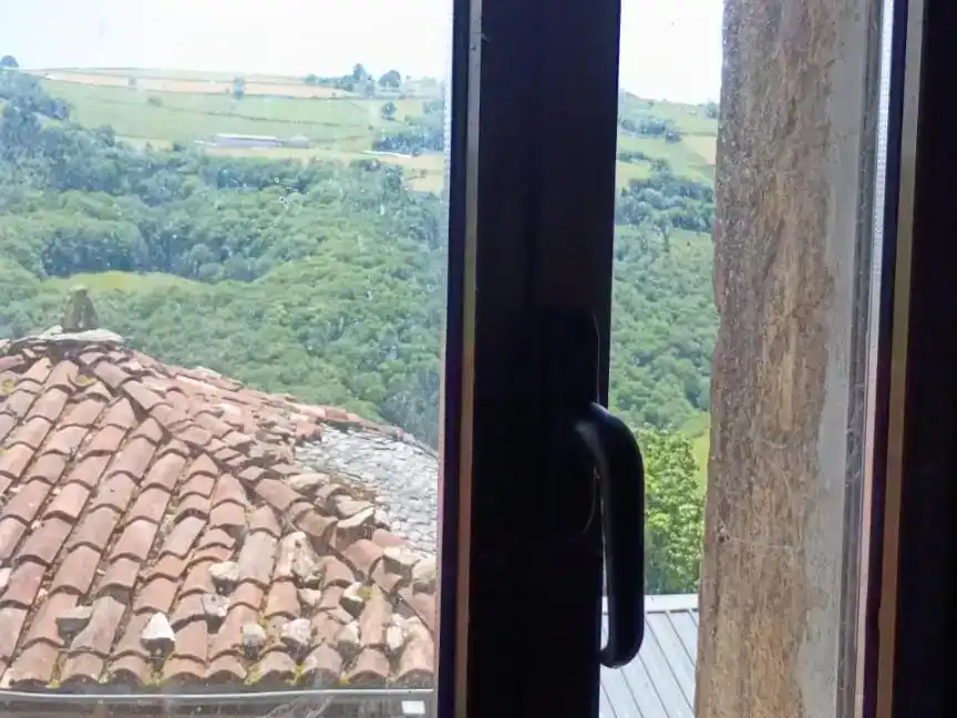 Terrassa de Finca rústica en venda en Tineo