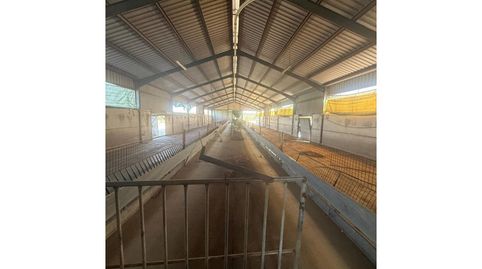 Nave industrial en venta en Úbeda, image 5