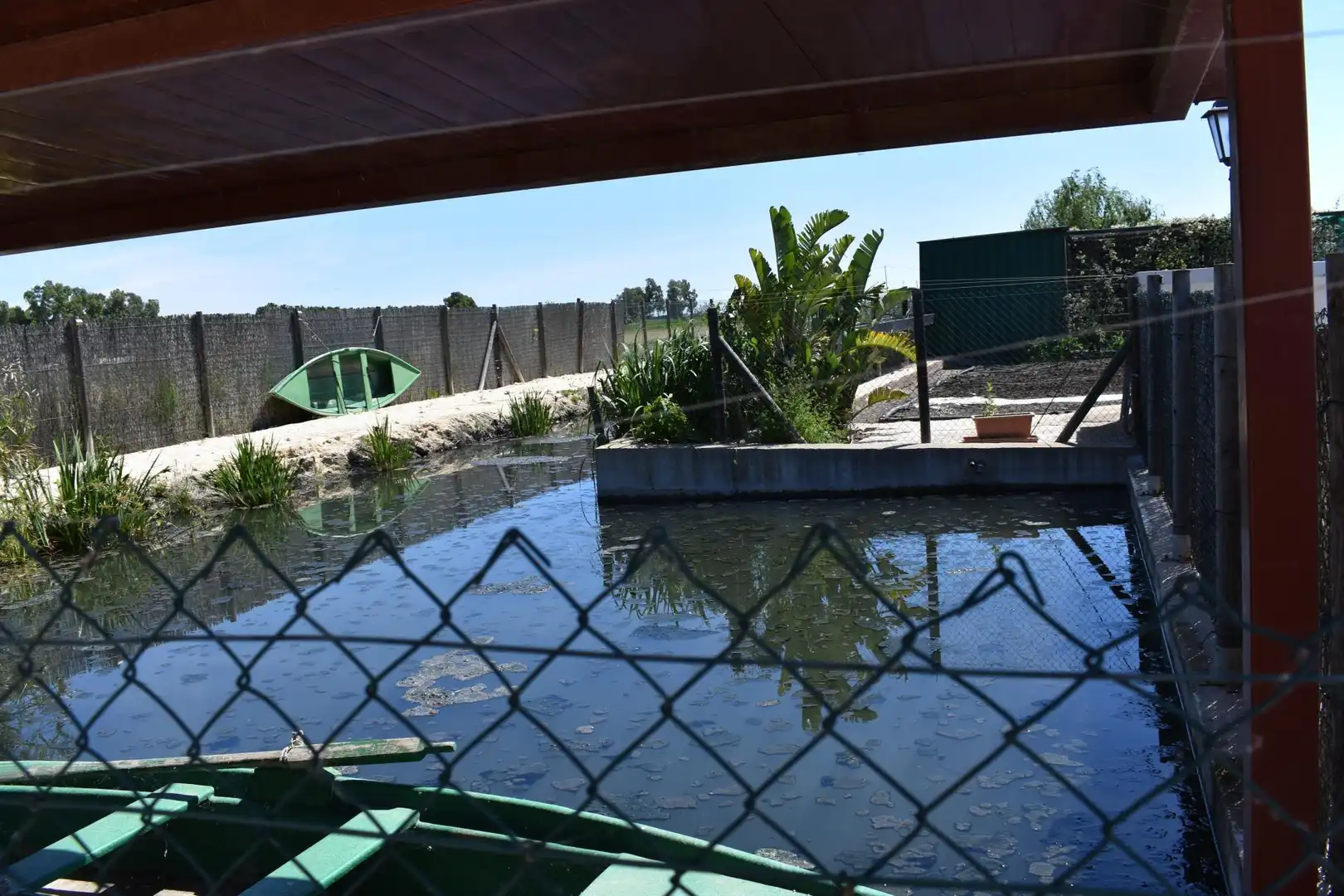 Finca rústica en venda a Eucaliptus - Poble Nou del Delta