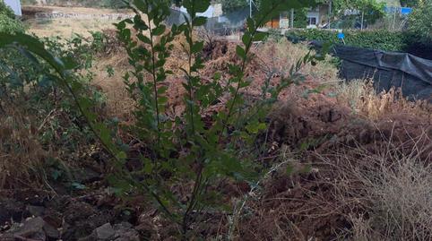 Photo 3 of House or chalet for sale in Espinosa de Henares - pueblo, Guadalajara