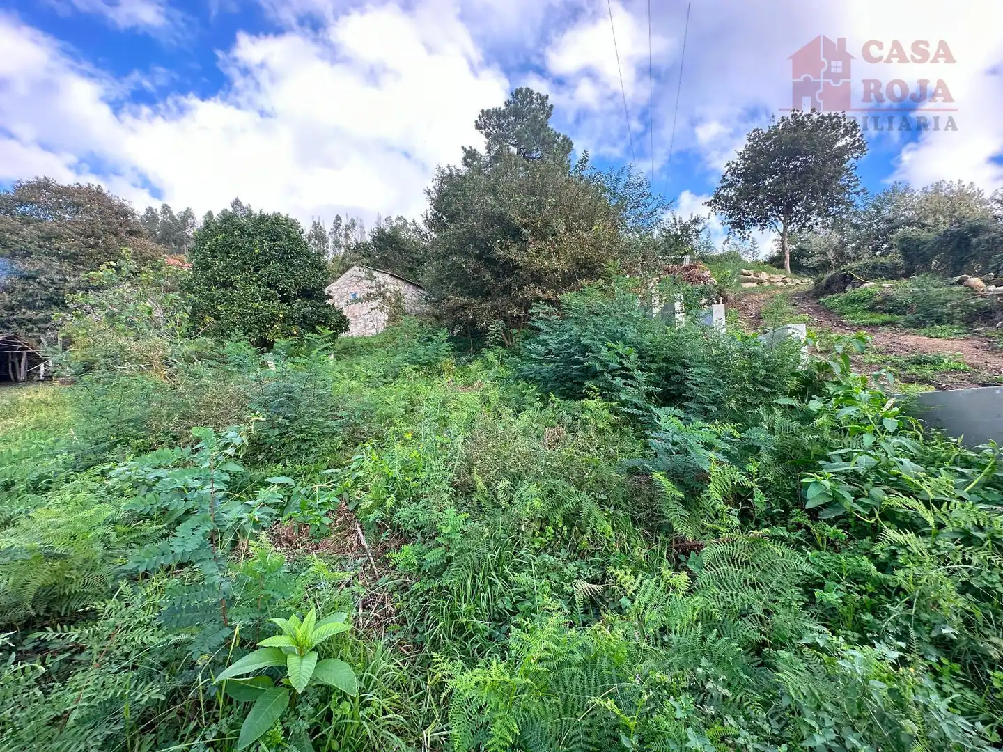 Terrain rustique à vendre à Moaña, imagen 4