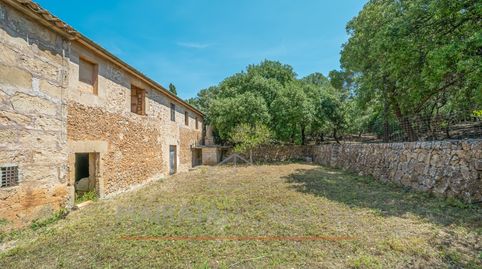 Foto 5 de Finca rústica en venda a Pollença Poble, Pollença