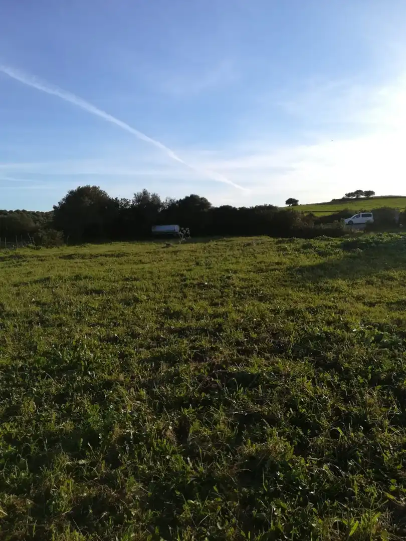 Terreny rústic en venda a Medina Sidonia, imagen 4
