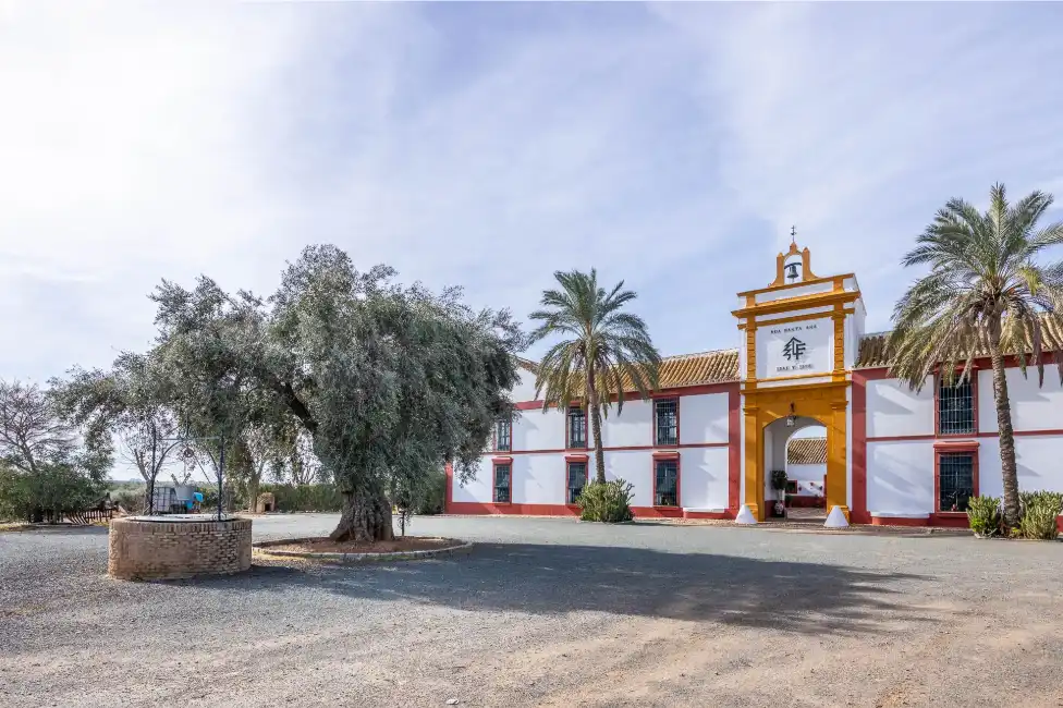 Casa rústica amb terrassa en venda a Carretera Guadajoz, imagen 30