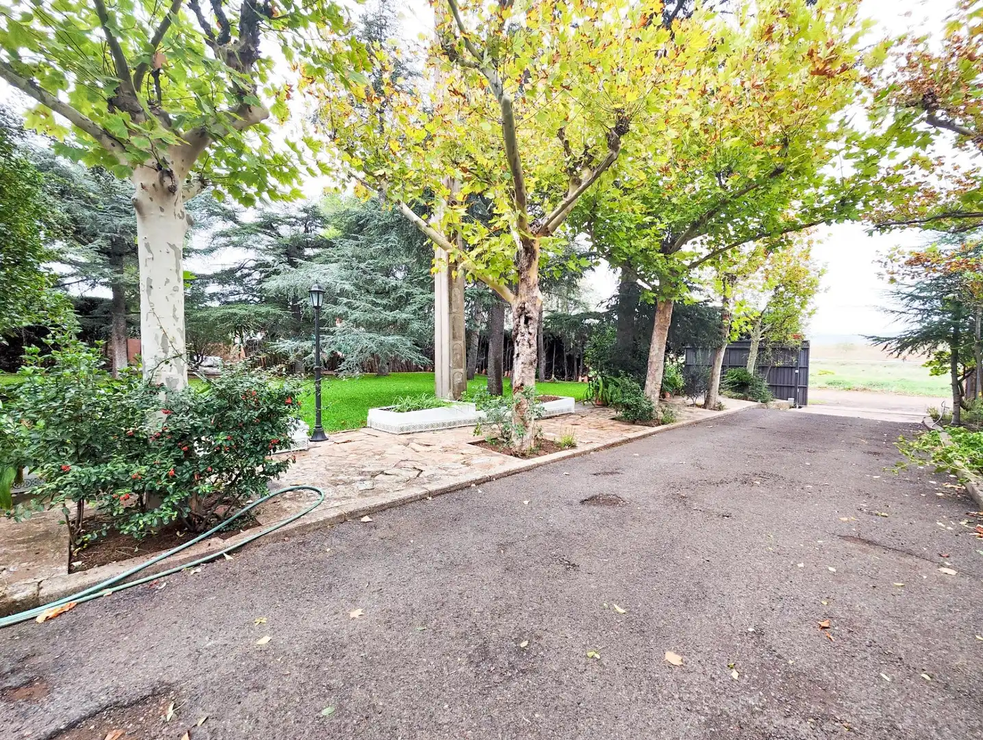 Jardín de Casa o chalet en venta en Puertollano con Aire acondicionado, Calefacción y Jardín privado