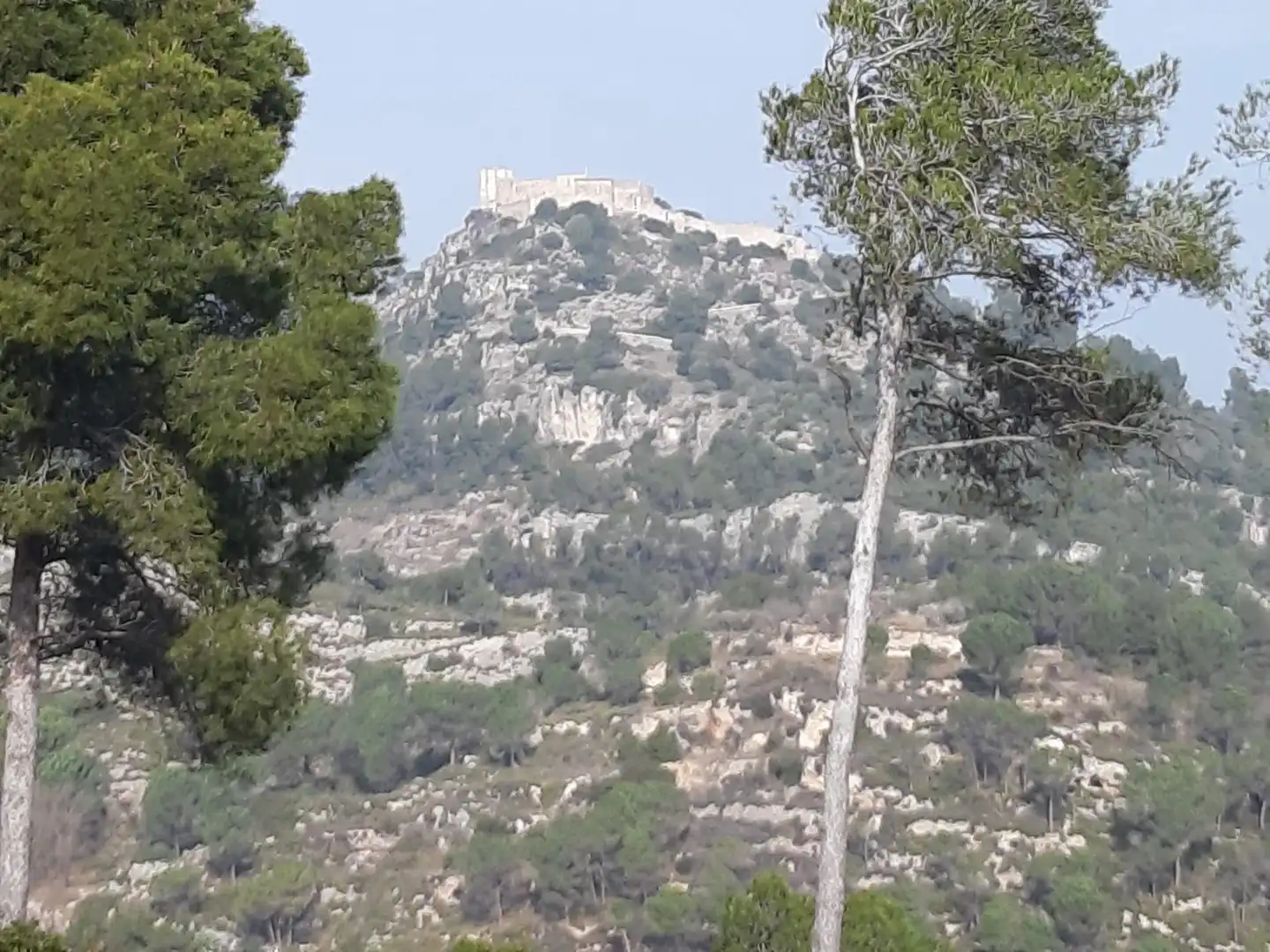 Terreno residencial en venta en La Pobla de Claramunt, imagen 3