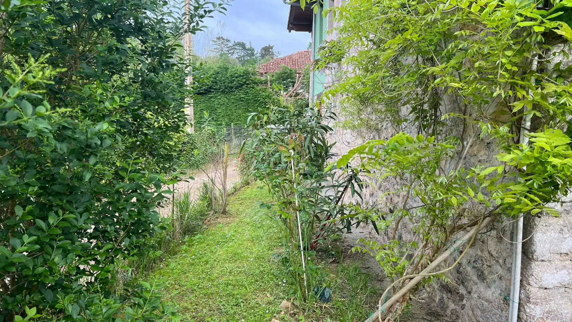 Casa en venta en Triongo, imagen 5