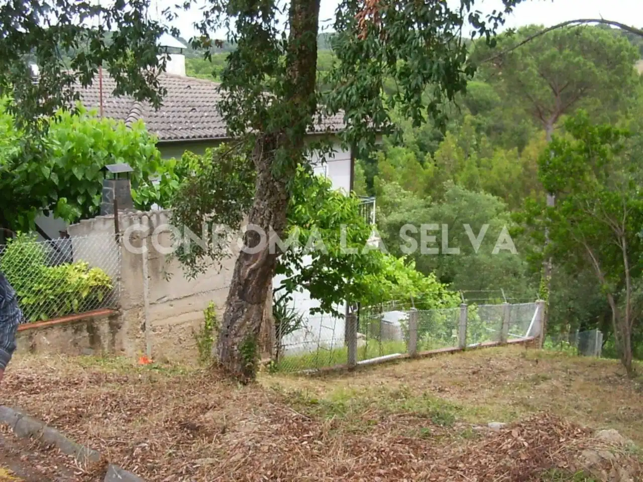 Residential land for sale in Residencial Park, imagen 8