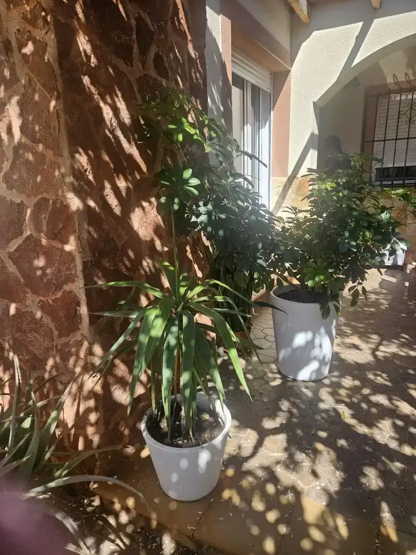 Außenansicht von Erdgeschoss zum Verkauf in La Unión mit Balkon
