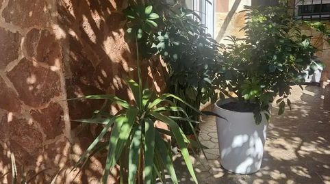 Foto 4 de Planta baixa en venda a Calle Castillete, 59, La Unión ciudad, La Unión