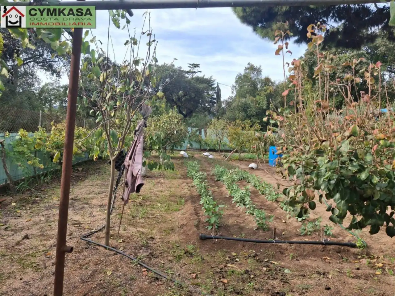 Residential land for sale in Palafolls, imagen 7