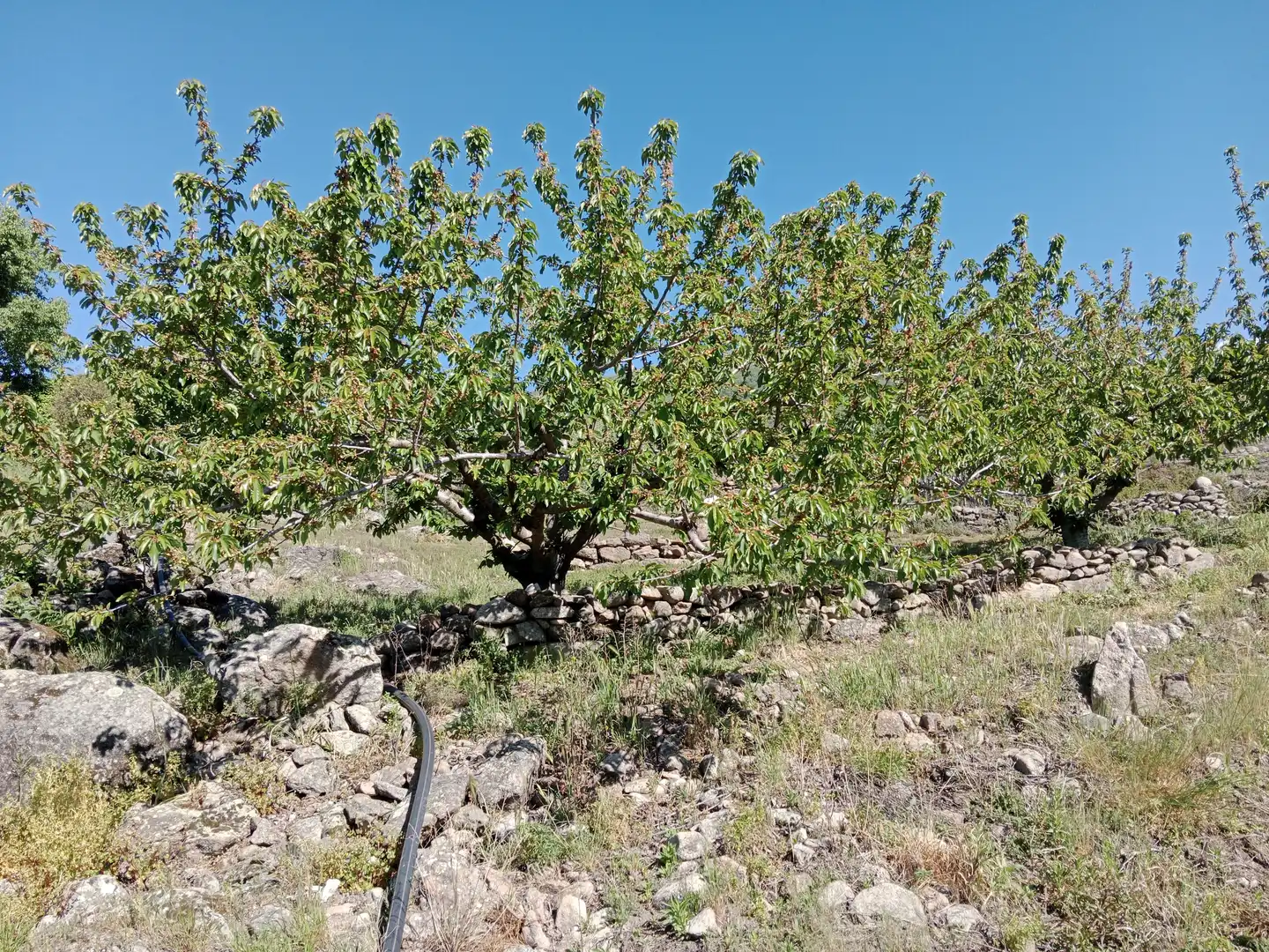 Terreni e lotti in vendita a N/A 0, imagen 5