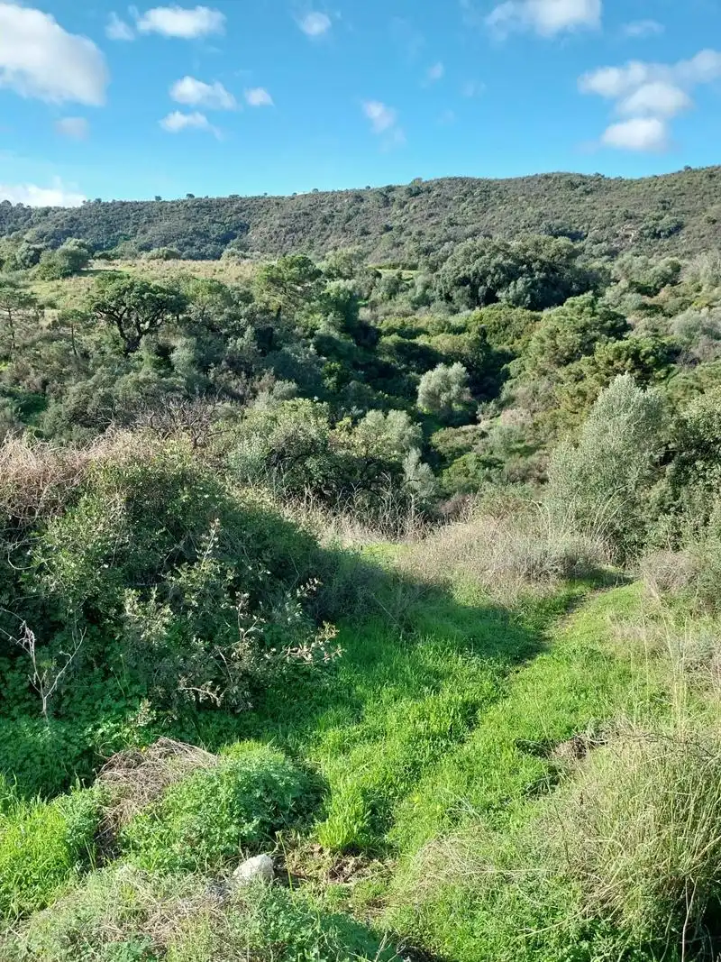 Terreni e lotti in vendita a Altos de Estepona, imagen 6