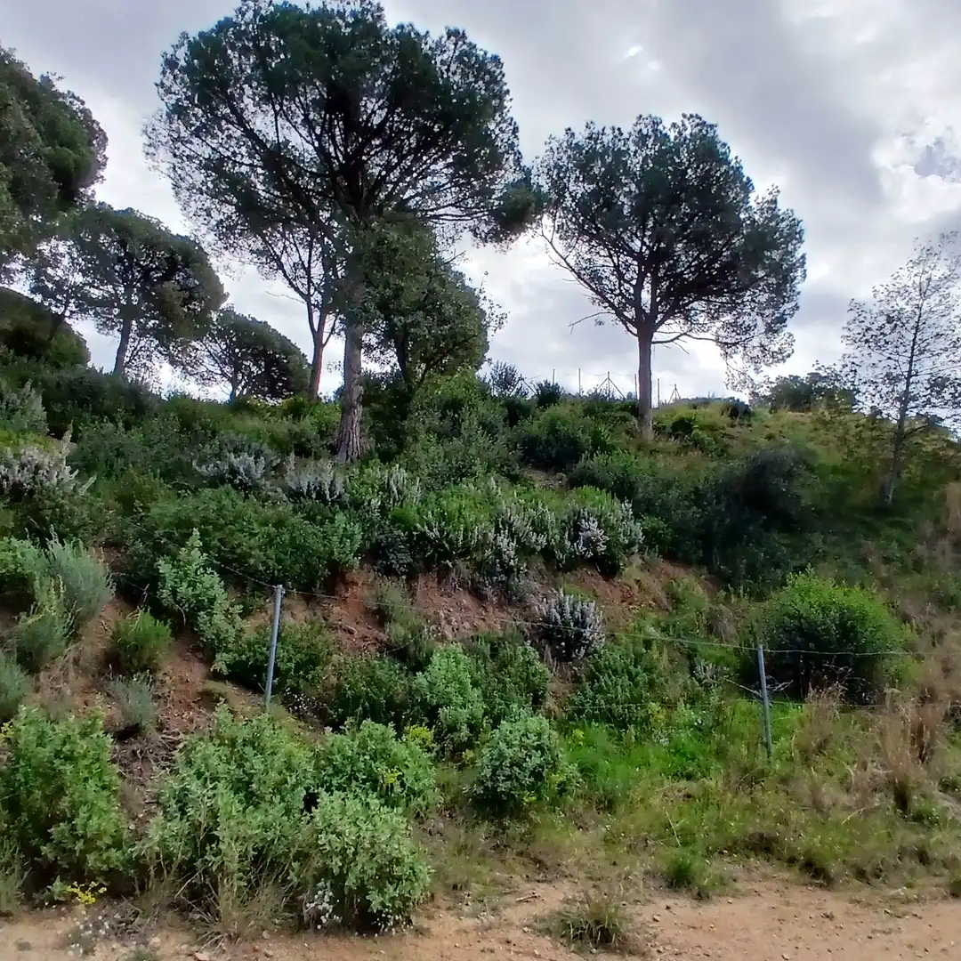 Terreny residencial en venda a Cabrils, imagen 6