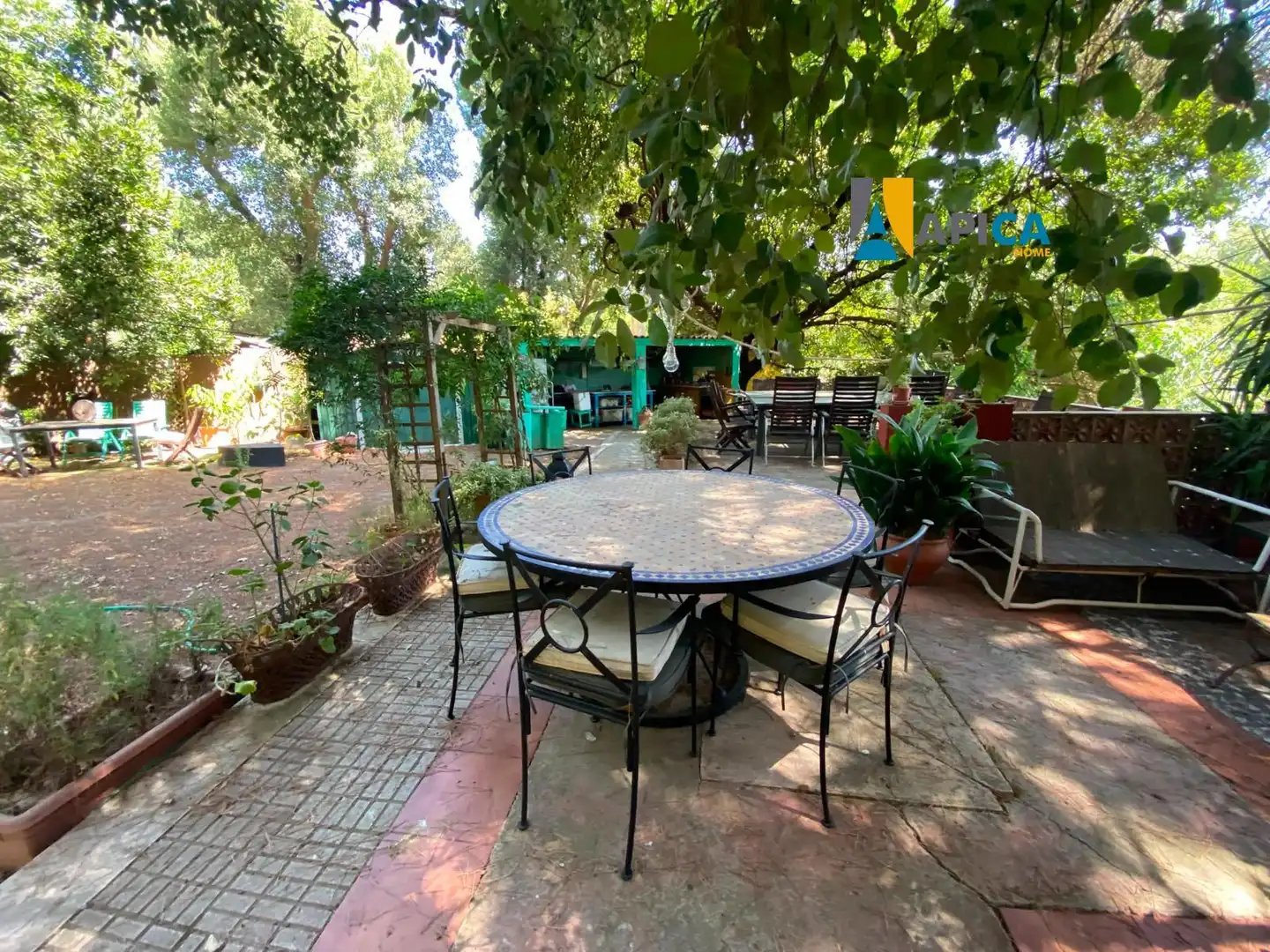 Rural land for sale in Castellar de la Frontera, imagen 22