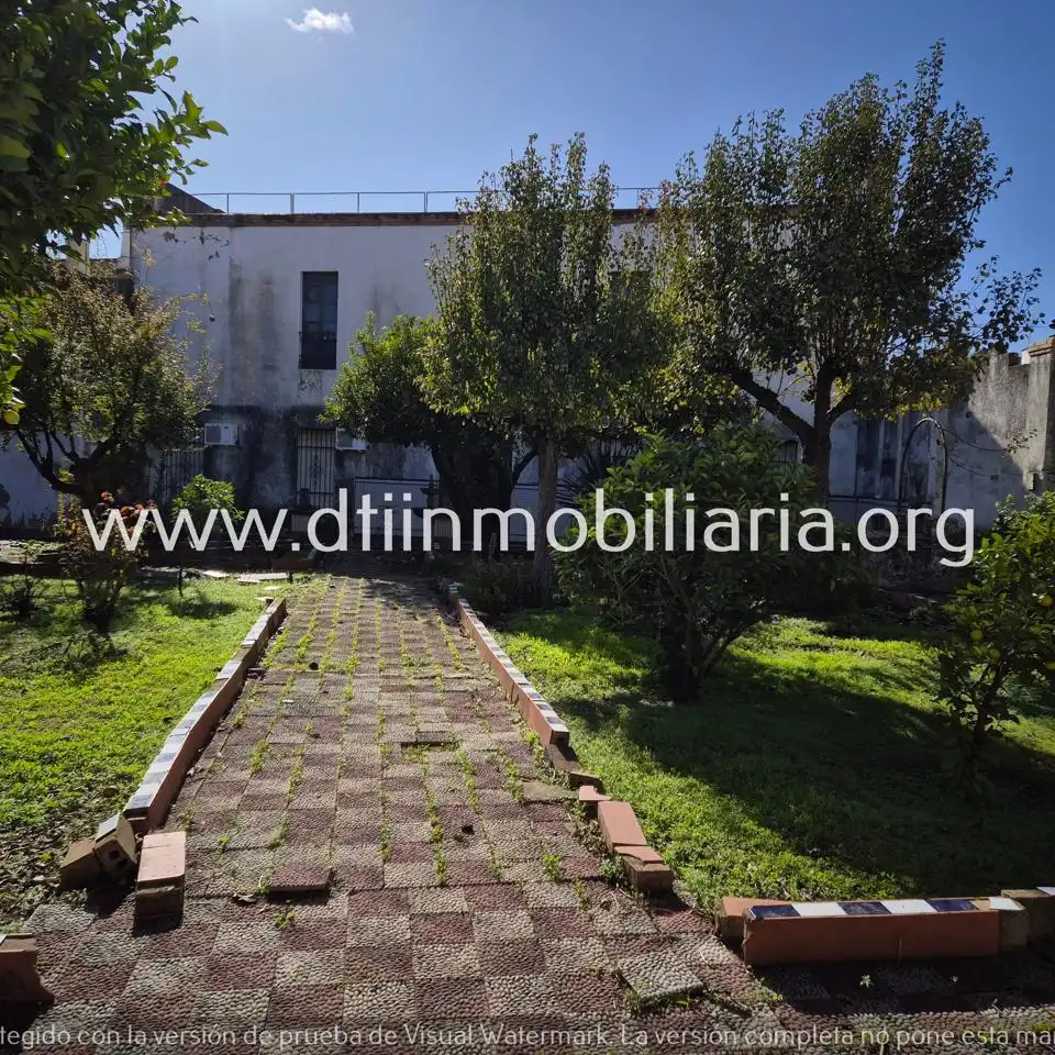 Jardín de Casa o chalet en venta en La Palma del Condado con Terraza