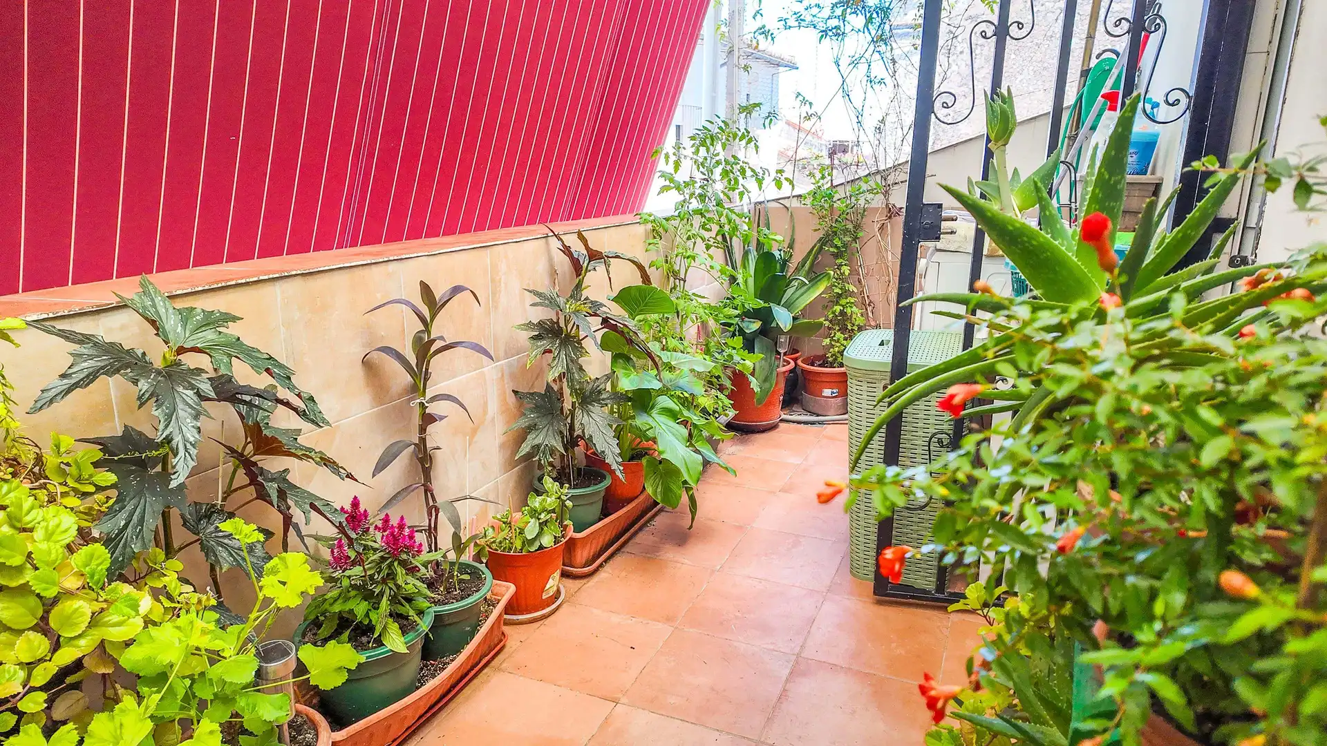 Terrace of Houses for sale in Cáceres  with Balcony