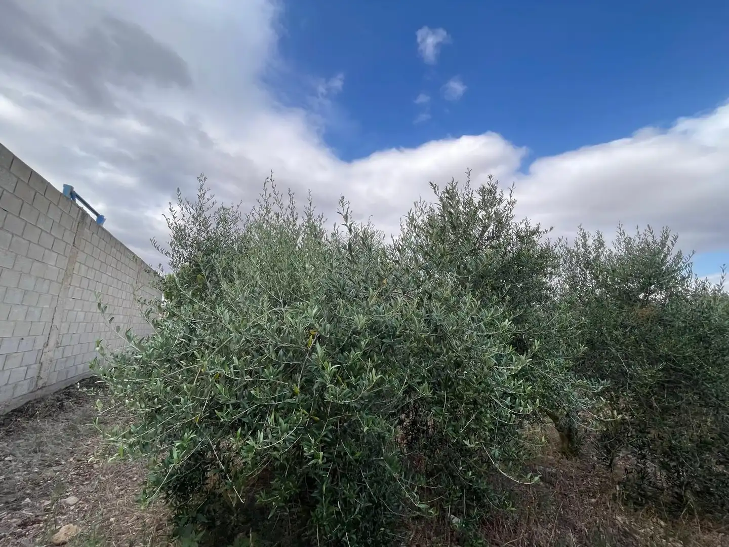 Terreni e lotti in vendita a santa catalina, imagen 17