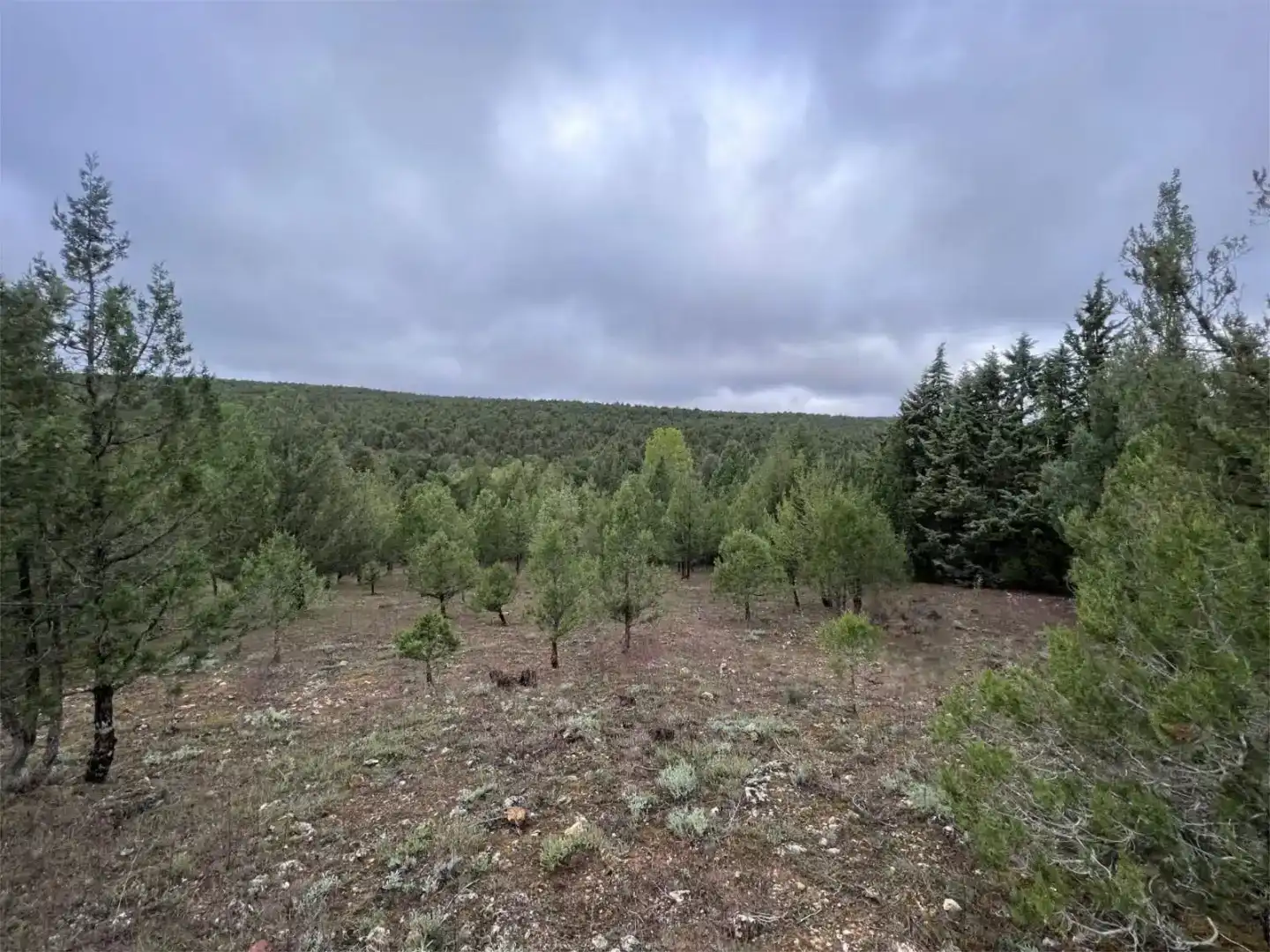 Terreno en venta en Duruelo