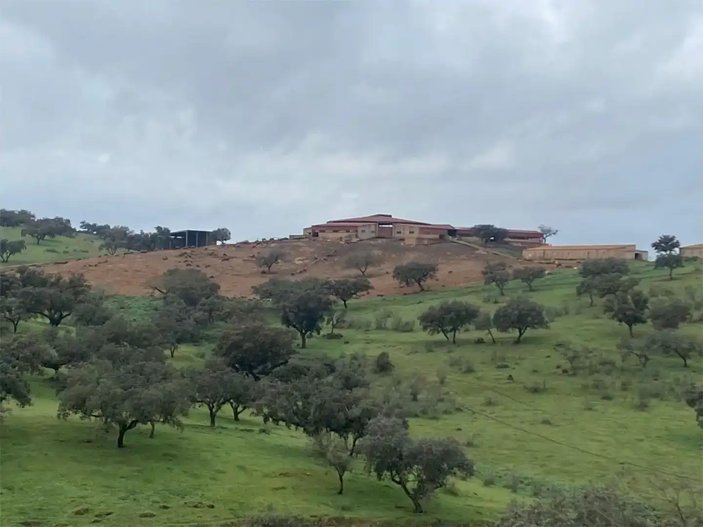 Exterior view of Land for sale in Medina de las Torres