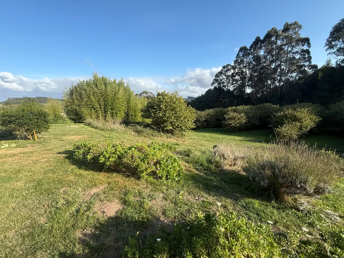Detached house with garden for sale in Carretera de la Granda, imagen 13