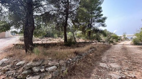 Terreno en venta en LAlcora, imagen 2