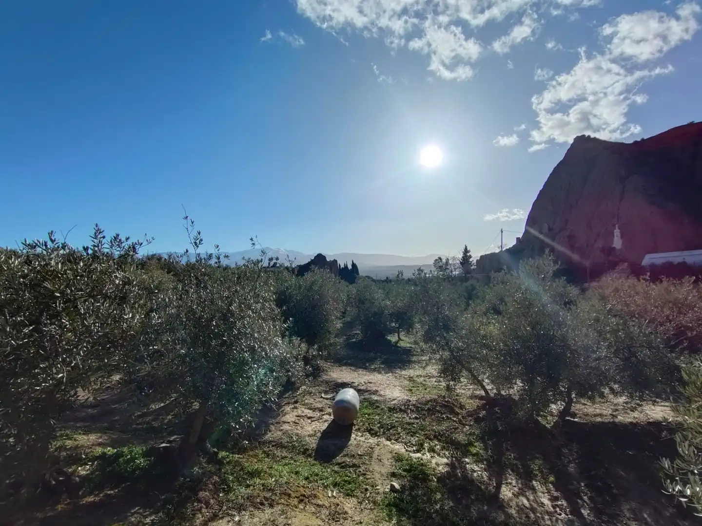 Grundstücke zum Verkauf in Guadix