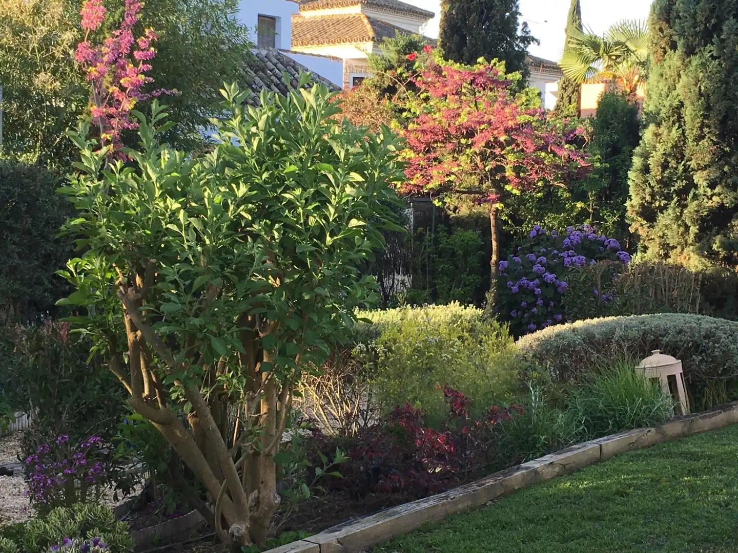 Jardín de Casa o chalet en venta en Bormujos con Aire acondicionado, Calefacción y Jardín privado