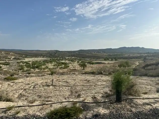 Terreno residenziale in vendita a Campo de Murcia, imagen 2