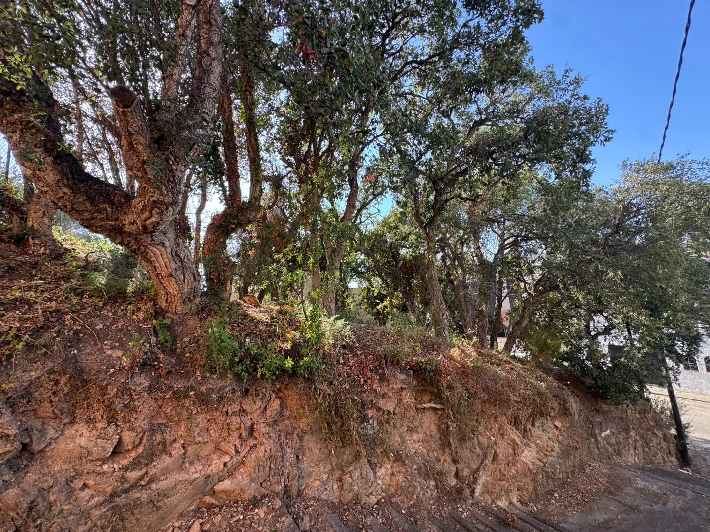 Lagerraum zum Verkauf in Sant Feliu de Guíxols