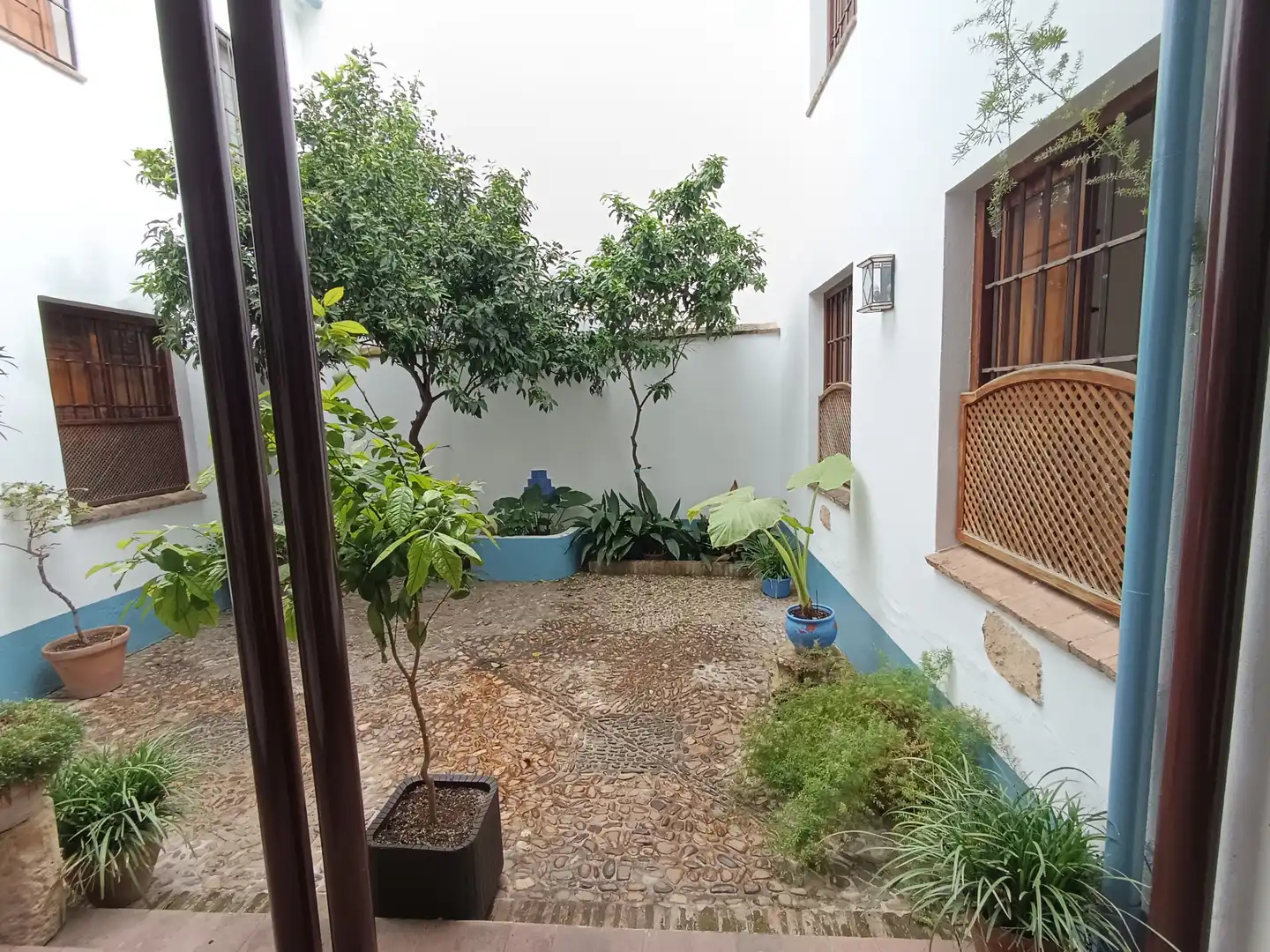 Garden of Flat for rent in  Córdoba Capital  with Air Conditioner and Heating
