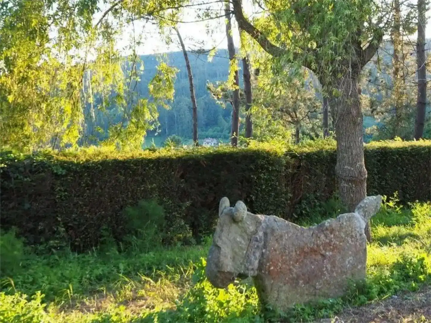 Jardí de Pis de lloguer en Campus Norte - San Caetano