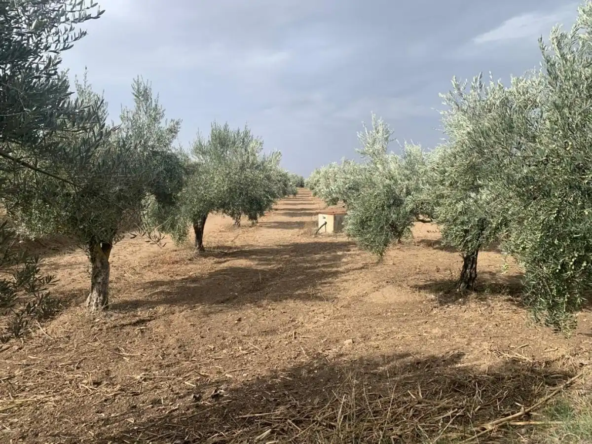Terreno residencial en venta en Las Flores - Huerta