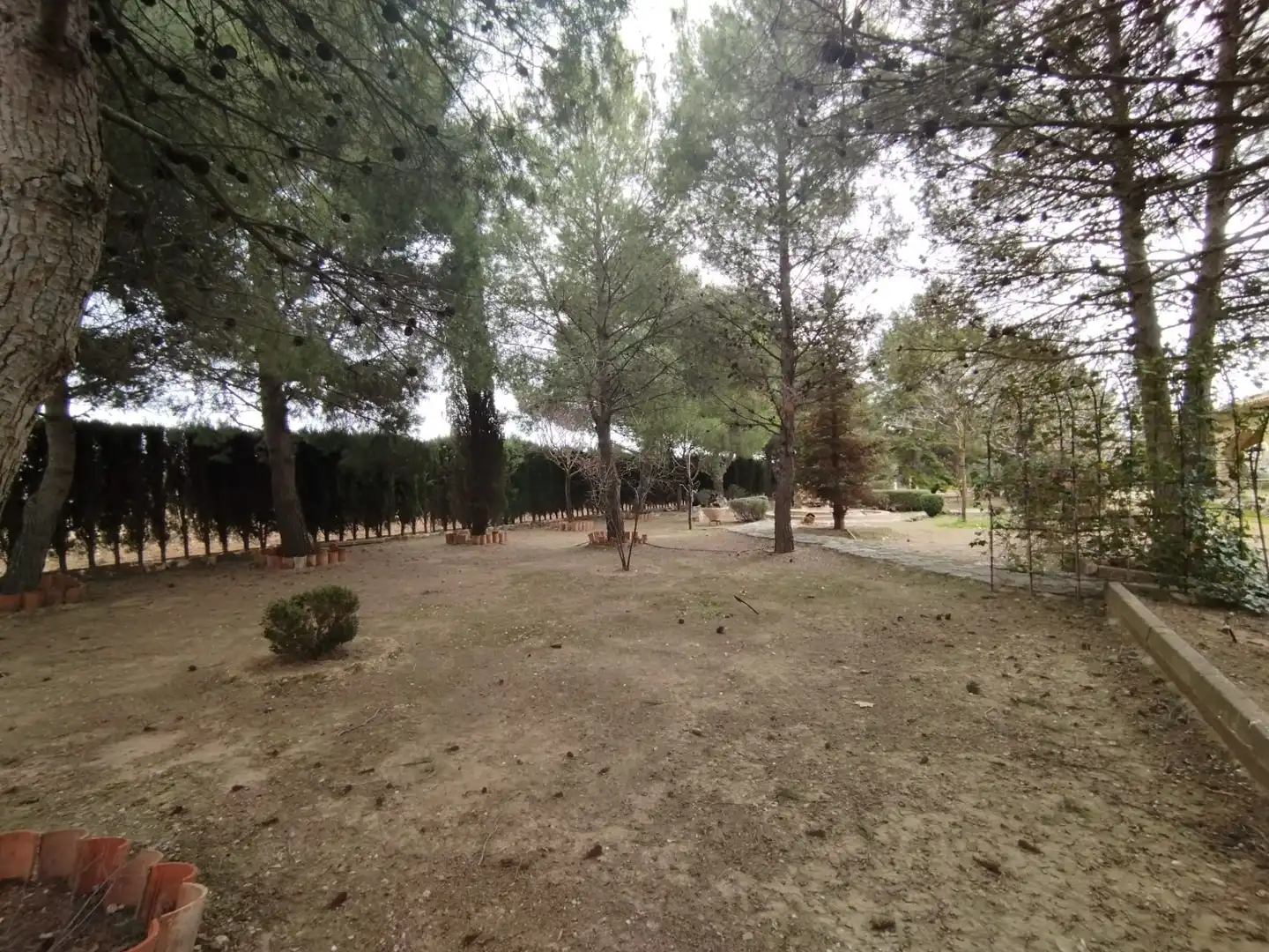 Rural land for sale in Carretera Canal, imagen 8