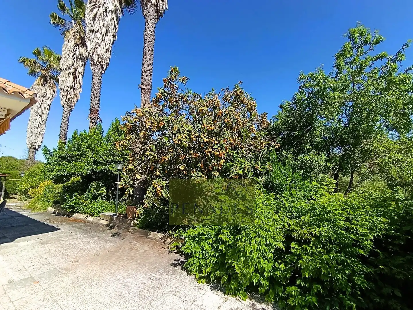 Jardín de Casa o chalet en venta en El Pilar 