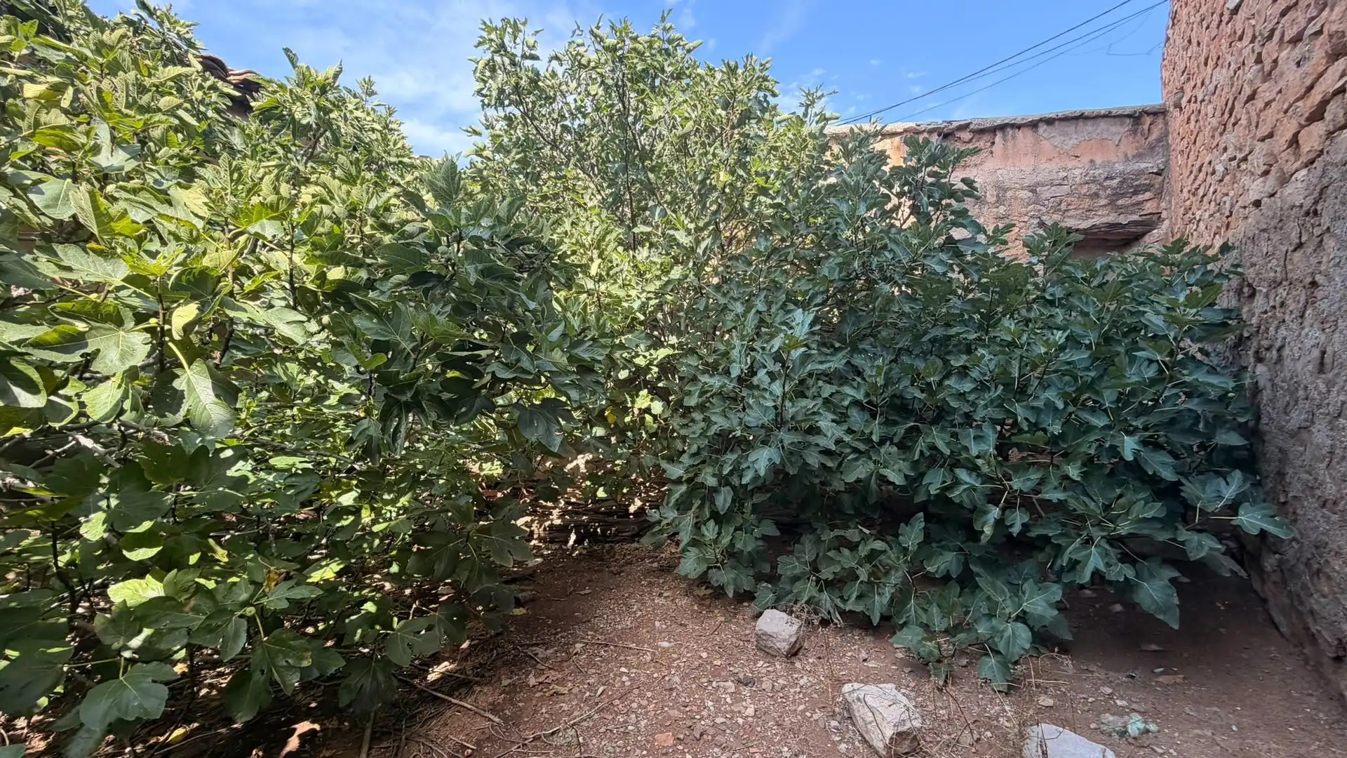 Terreno en venta en Ontiñena