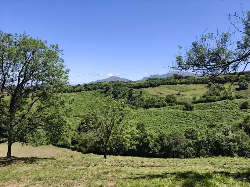 Terreno rustico in vendita a Proaza, imagen 59