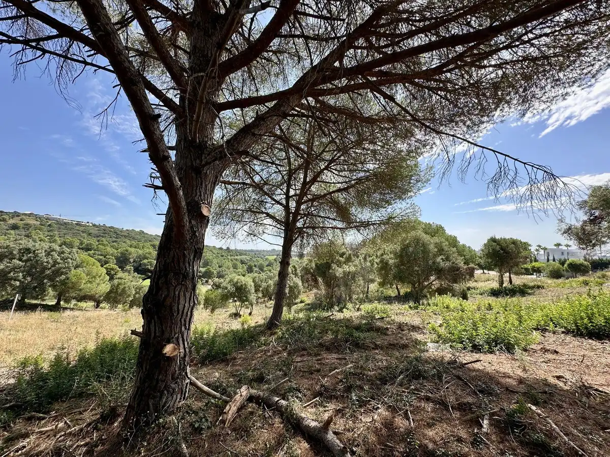Terreni e lotti in vendita a Lugar Sotogrande 417, imagen 6