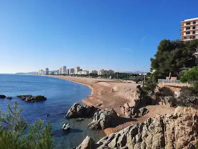 Terreno residenziale in vendita a Platja d'Aro, imagen 6
