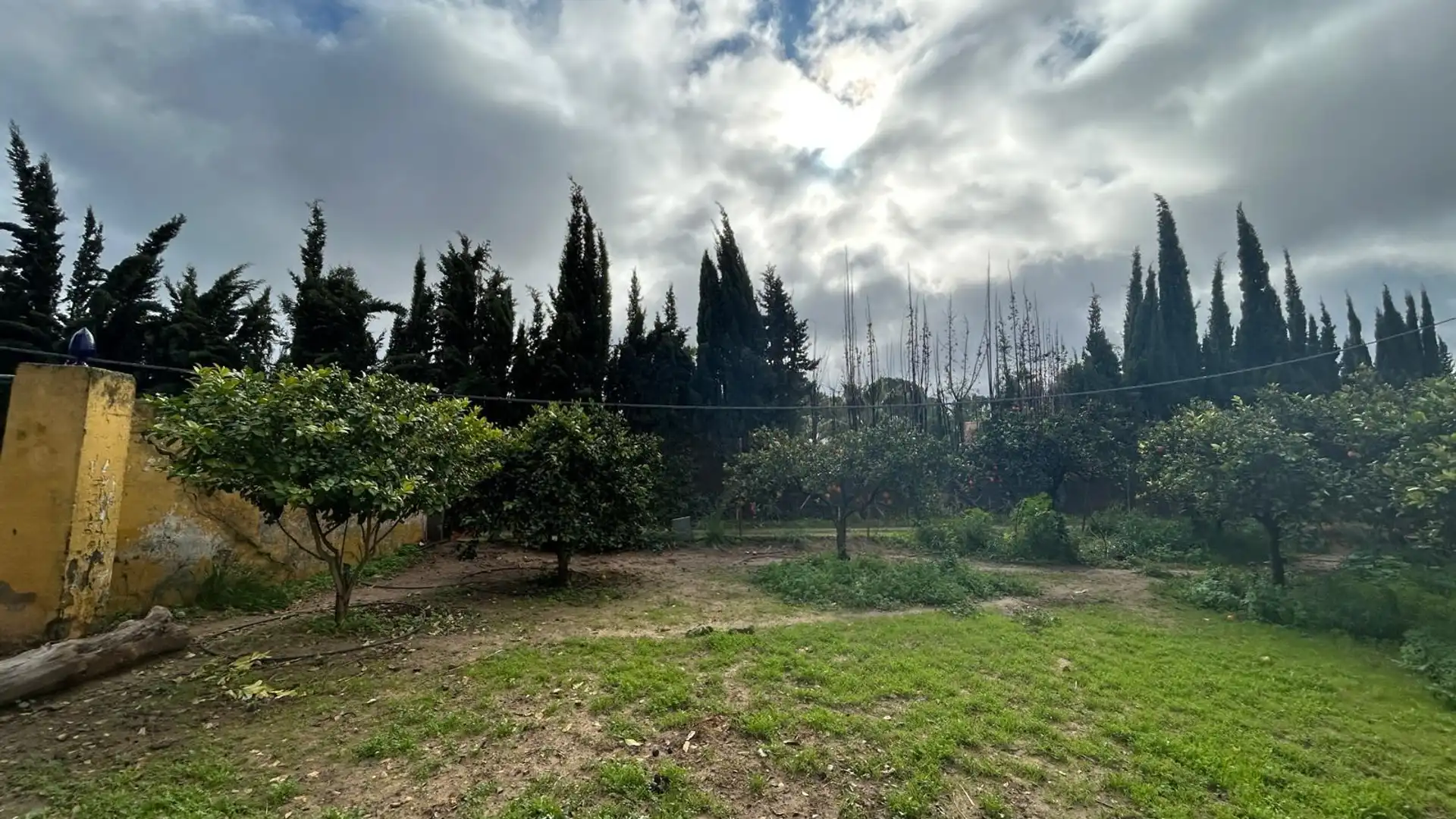 Country homes for sale in Utrera