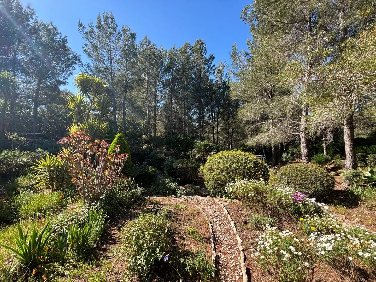 Jardí de Casa o xalet en venda en L'Ametlla de Mar  amb Jardí privat, Terrassa i Traster